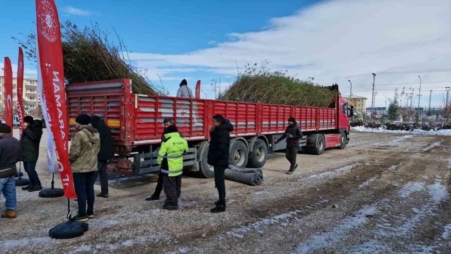 Karaman’da Üreticiye 45 Bin Adet Fidan Dağıtıldı