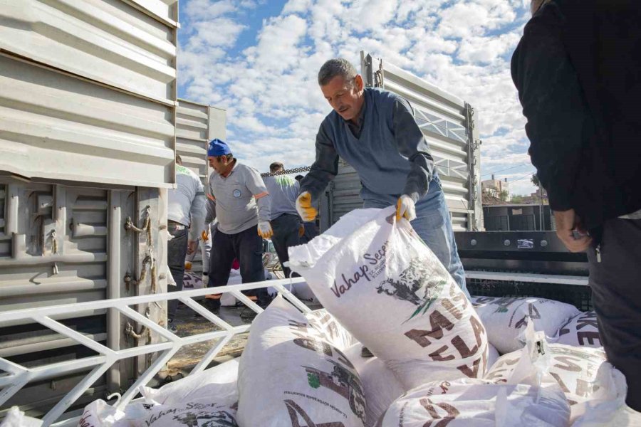 Mersin’de Belediyeden Üreticilere Yem Desteği