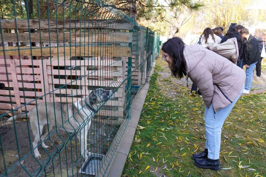 Esogü Öğrencilerinden Doğal Yaşam Merkezi’ne Ziyaret