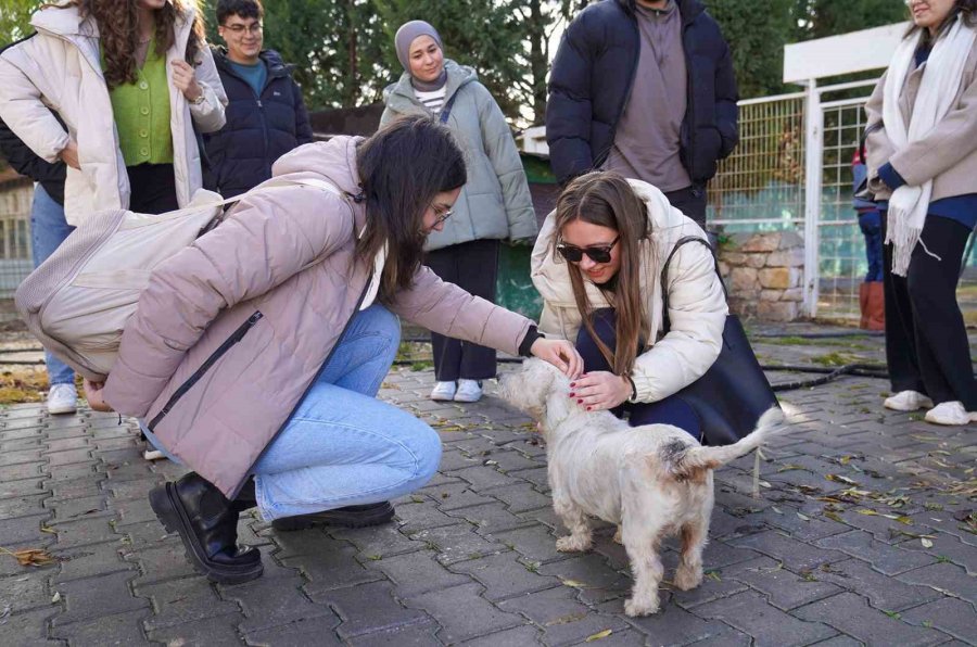 Esogü Öğrencilerinden Doğal Yaşam Merkezi’ne Ziyaret