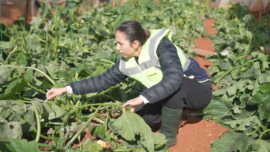 Fırtına Ve Hortum Sonrası Antalya’da Hasar Tespiti Sürüyor