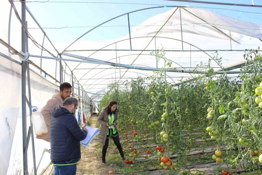 Fırtına Ve Hortum Sonrası Antalya’da Hasar Tespiti Sürüyor