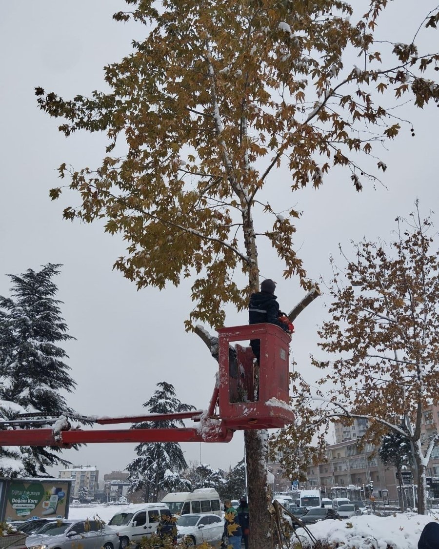 Büyükşehir Ekiplerinden Kaldırım Ve Parklarda Yoğun Mesai