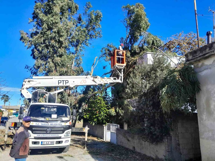 Tarsus’ta Yağış Sonrası Yaşanan Olumsuzluklar Gideriliyor