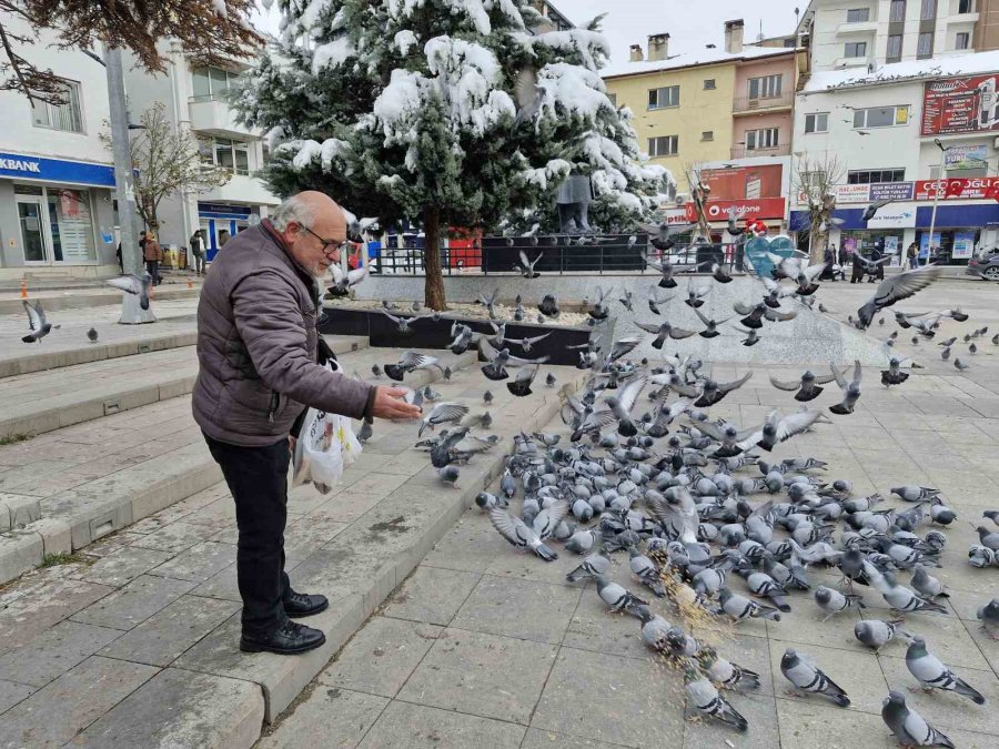 Soğukta Kuşları Besleyen Emekli Öğretmen Yürekleri Isıttı