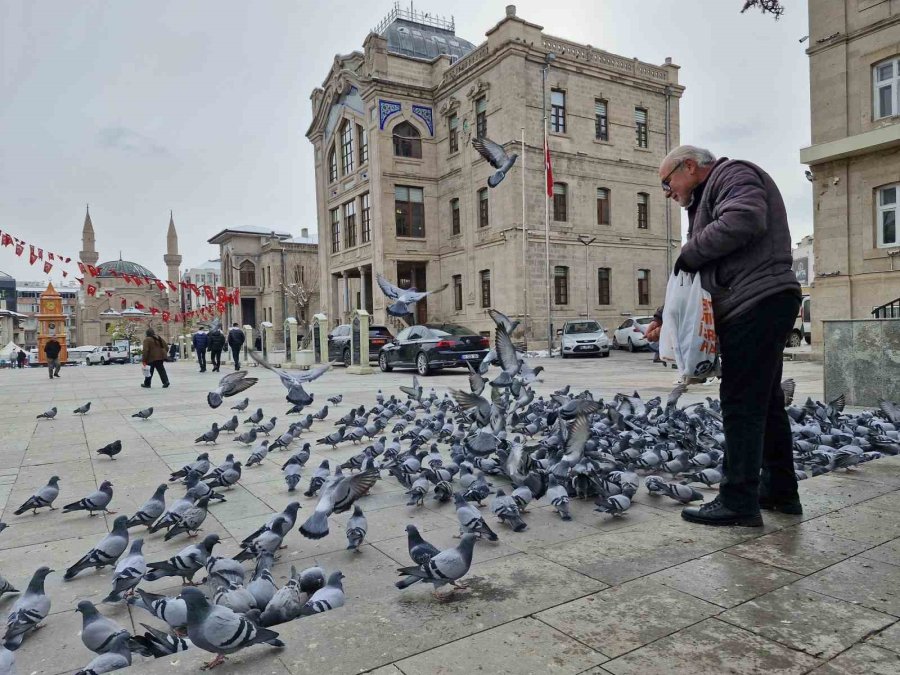 Soğukta Kuşları Besleyen Emekli Öğretmen Yürekleri Isıttı