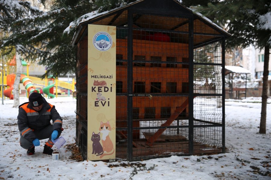 Melikgazi Belediyesi Kar Yağışı Sonrası Sokak Hayvanlarını Unutmadı