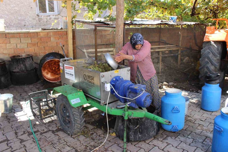 Üzüm Sıkma Makinesi İle Pekmez Kazanları Kaynıyor