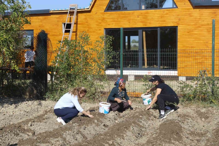 Büyükşehir Belediyesi’nden Kadın Girişimcilere Tarımsal Destek