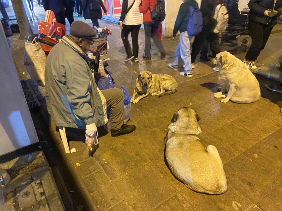 Seyyar Satıcılıktan Elde Ettiği Kazancı Hayvanlarla Paylaşıyor