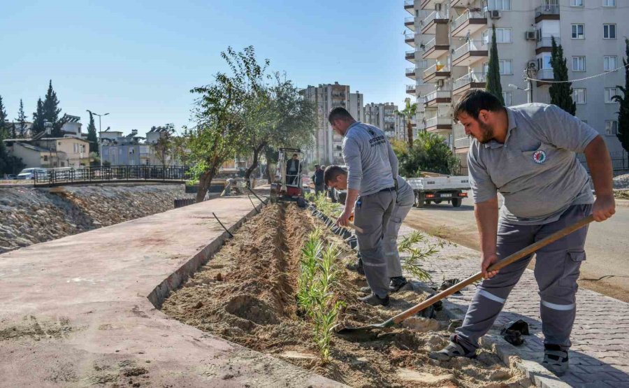 Güneş’e Yemyeşil Bir Yaşam Bahçesi Geliyor