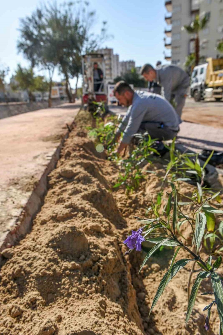 Güneş’e Yemyeşil Bir Yaşam Bahçesi Geliyor