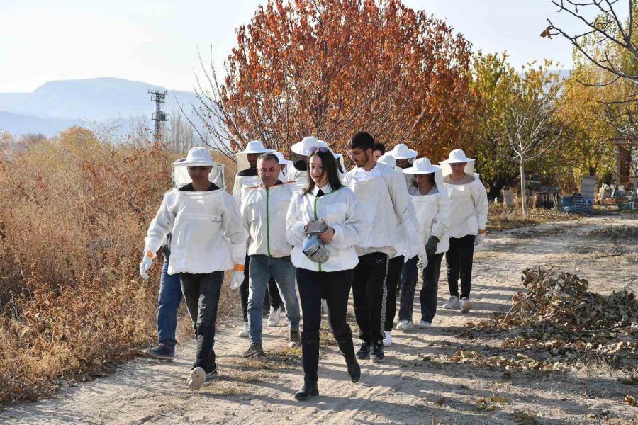 Arıcılık Sektörüne Nitelikle Eleman Yetişiyor