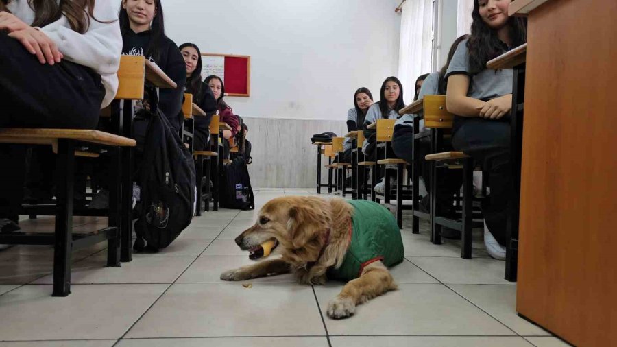 Öğrencilerin Peşine Takılan Fındık, Okulun Maskotu Oldu