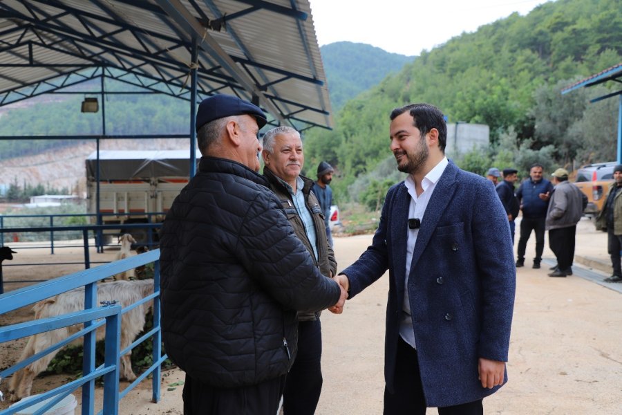 Alanya Kurban Pazarı Açıldı