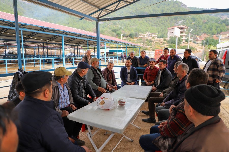 Alanya Kurban Pazarı Açıldı