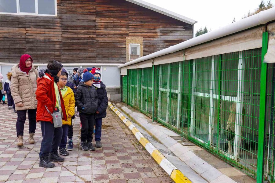 Öğrencilerden Can Dostlara Mama Bağışı