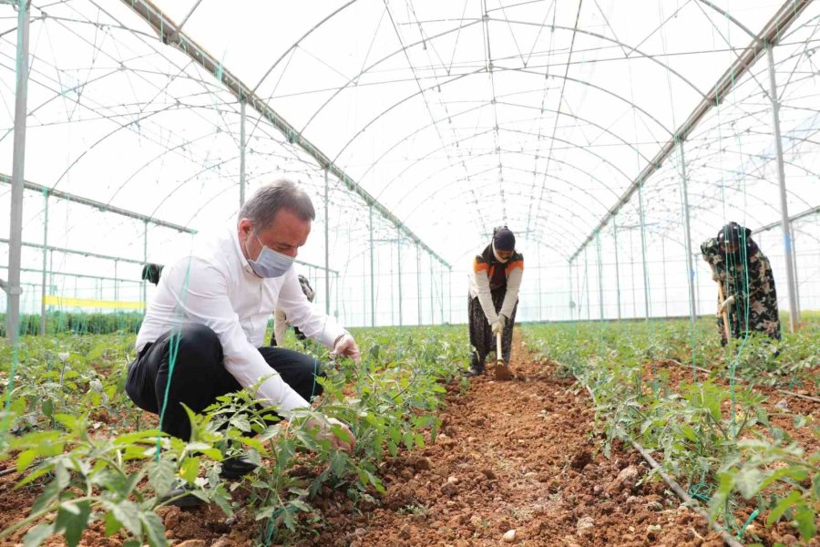 Başkan Böcek: “2025 Yılında Da Çiftçinin Yanında Olmayı Sürdüreceğiz”