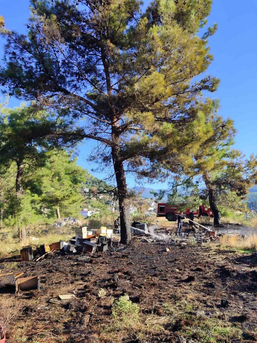 Mezarlıkta Yangın Çıktı, Yanan 15 Kovandaki Arılar Telef Oldu