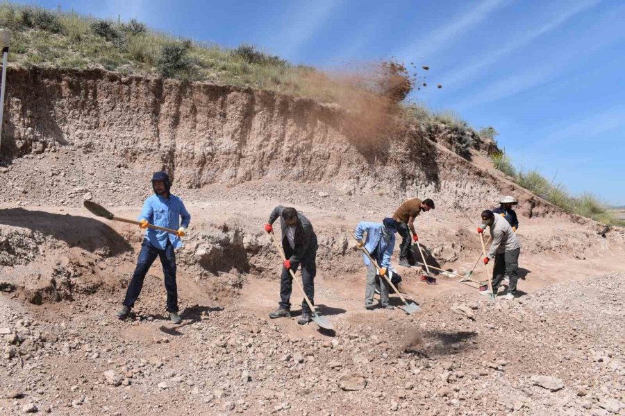 7,5 Milyon Yıllık Fosil Kazıları Dünya Paleontoloji Tarihine Işık Tutuyor