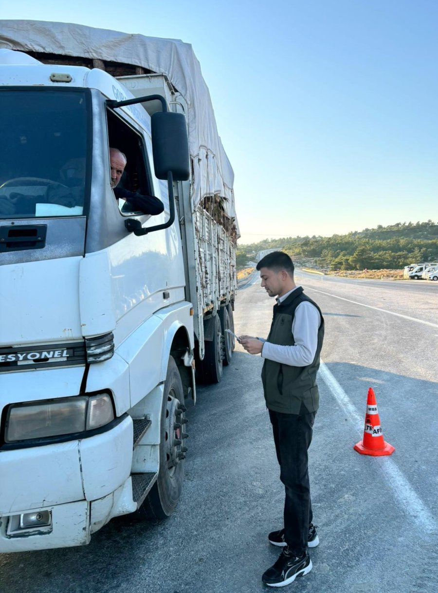 Mersin’de Orman Suçlarına Karşı Denetimler Sürüyor