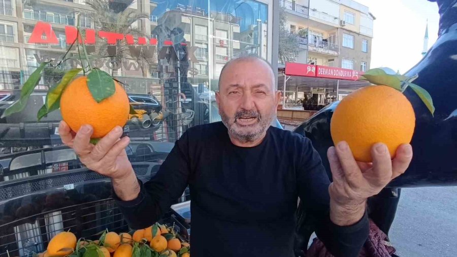 Antalya’nın Dev Portakalları: 3 Tanesi 2 Kilo Geliyor