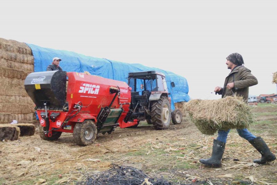 Üniversiteli Çoban Kış Mevsiminde Küçükbaş Hayvan Bakımının Zorluklarını Anlattı