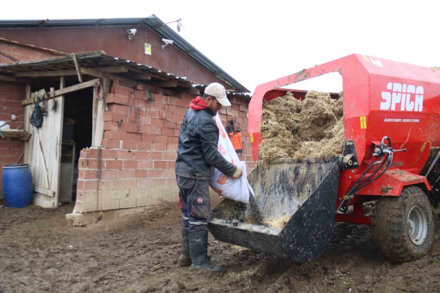 Üniversiteli Çoban Kış Mevsiminde Küçükbaş Hayvan Bakımının Zorluklarını Anlattı