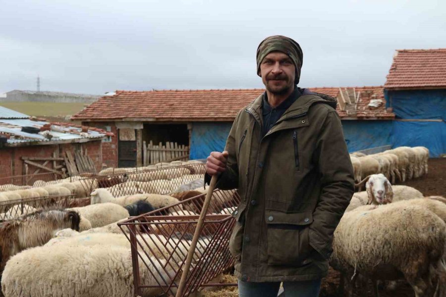 Üniversiteli Çoban Kış Mevsiminde Küçükbaş Hayvan Bakımının Zorluklarını Anlattı