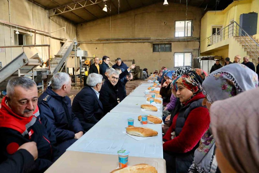 Vali Cahit Çelik, Patates Depolama Ve Paketleme Alanında İncelemelerde Bulundu