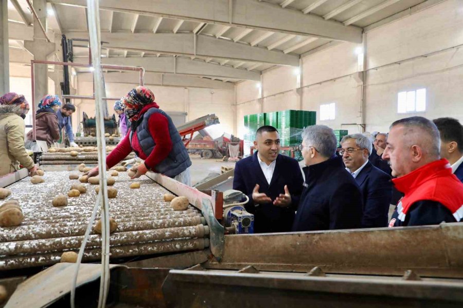 Vali Cahit Çelik, Patates Depolama Ve Paketleme Alanında İncelemelerde Bulundu