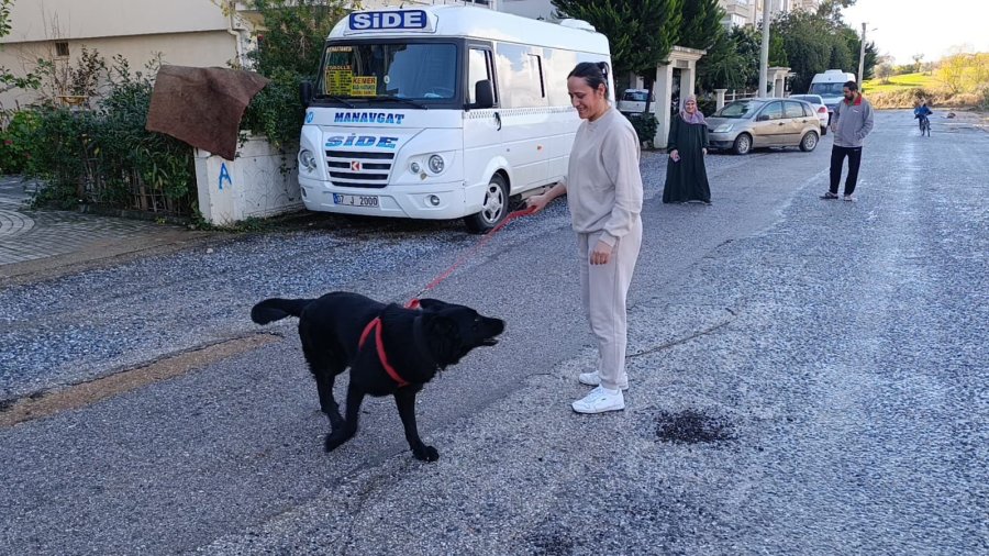 Sel Sularının Arasında Kalan Köpeği Düzenledikleri Operasyonla Kurtardılar