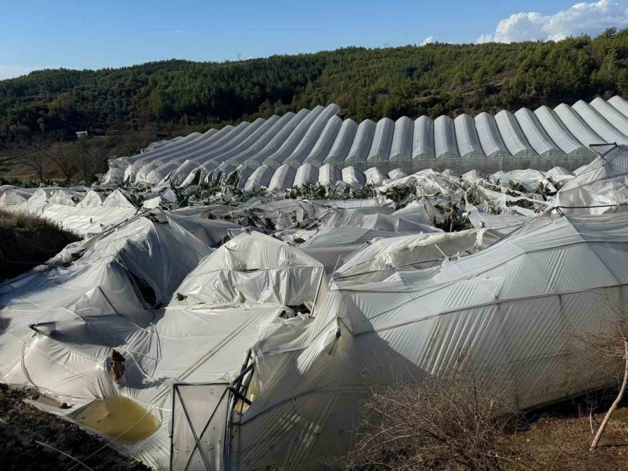 Manavgat’ta Hortum Muz Seralarını Vurdu, Görüntüler Yeni Ortaya Çıktı