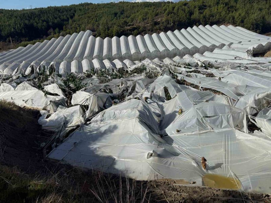 Manavgat’ta Hortum Muz Seralarını Vurdu, Görüntüler Yeni Ortaya Çıktı