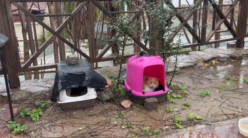 Turuncu Kodla Uyarılan Antalya Güne Yağışla Başladı