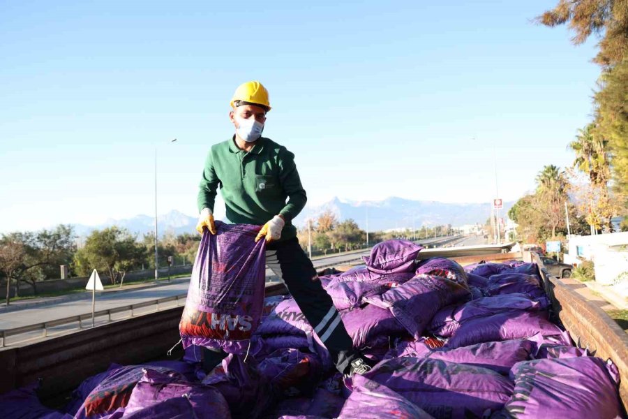 Antalya’da Kriterlere Uymadığı Tespit Edilen 135 Ton Kömür İl Dışına Çıkarıldı