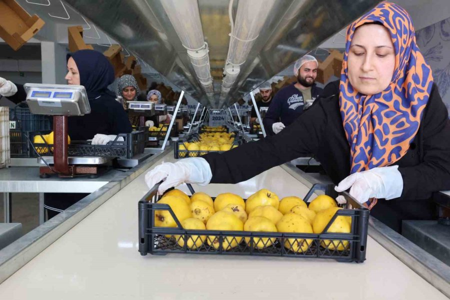 Kurutma Tesisi İsrafı Önlüyor, Üretim Fazlası Ürünler Ekonomiye Kazandırılıyor