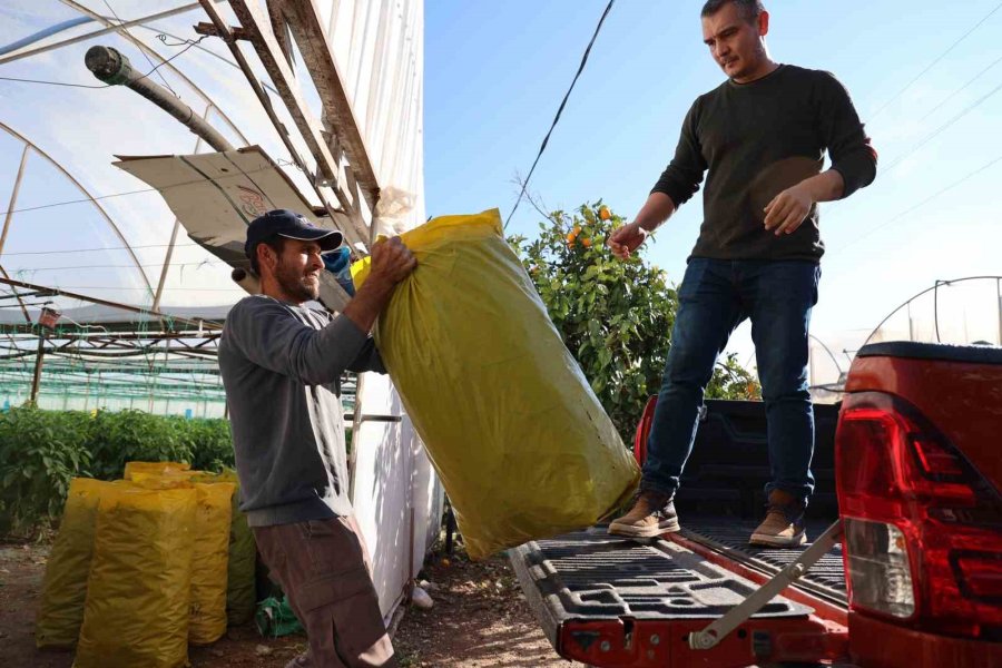 Kurutma Tesisi İsrafı Önlüyor, Üretim Fazlası Ürünler Ekonomiye Kazandırılıyor