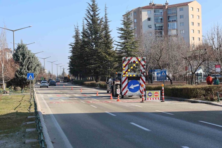 Büyükşehir Ekipleri Budama Çalışmalarına Devam Ediyor