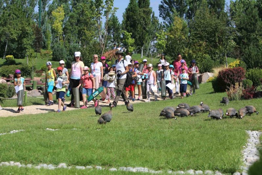 Eskişehir Hayvanat Bahçesi Bir Yılda 805 Bin Ziyaretçi Ağırladı