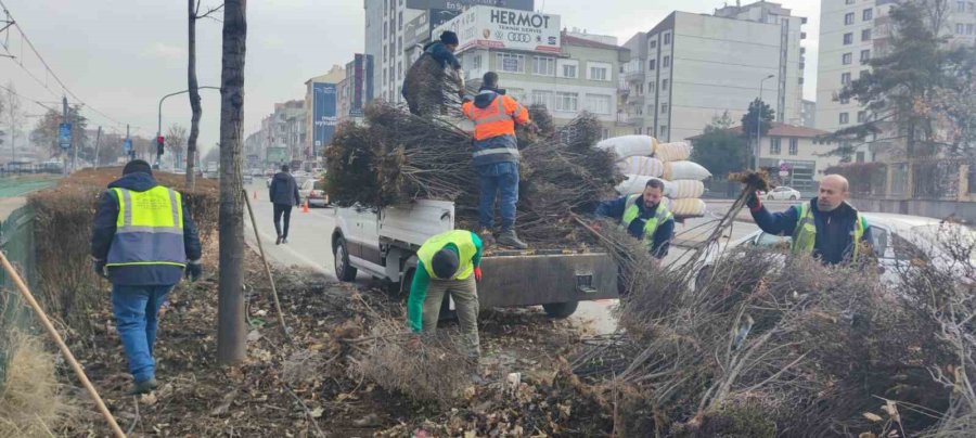 Kayseri Büyükşehir, Daha Temiz Ve Yeşil Kayseri İçin Çalışıyor