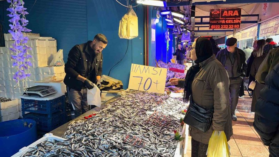 Denizdeki Bolluk Ve Rekabet Hamsi Fiyatını 70 Liraya Kadar Düşürdü