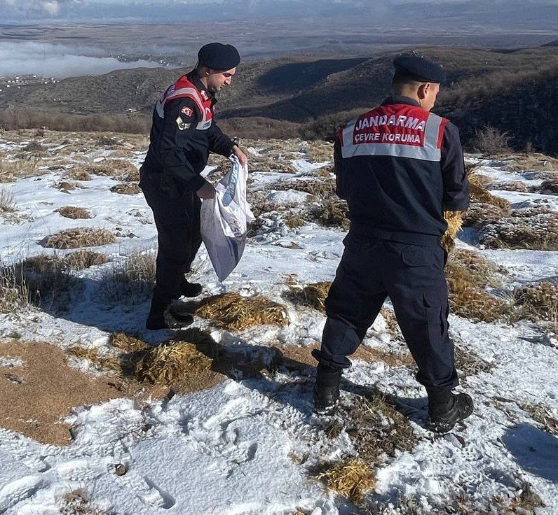 Jandarma Ekipleri Yaban Ve Sokak Hayvanları İçin Dağlarda