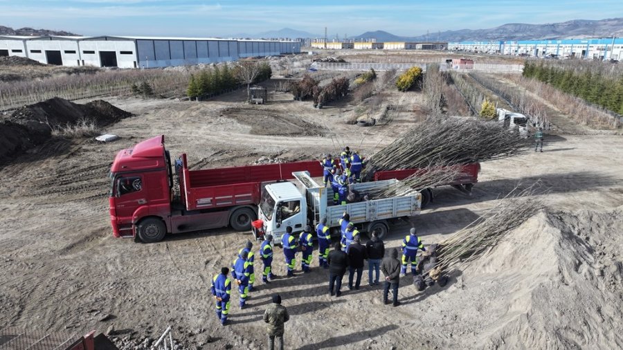 Başkan Çolakbayrakdar, “kayseri’de Yemyeşil Bir Bahar Olacak”