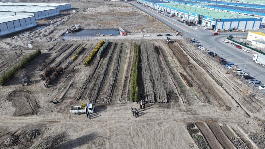 Başkan Çolakbayrakdar, “kayseri’de Yemyeşil Bir Bahar Olacak”