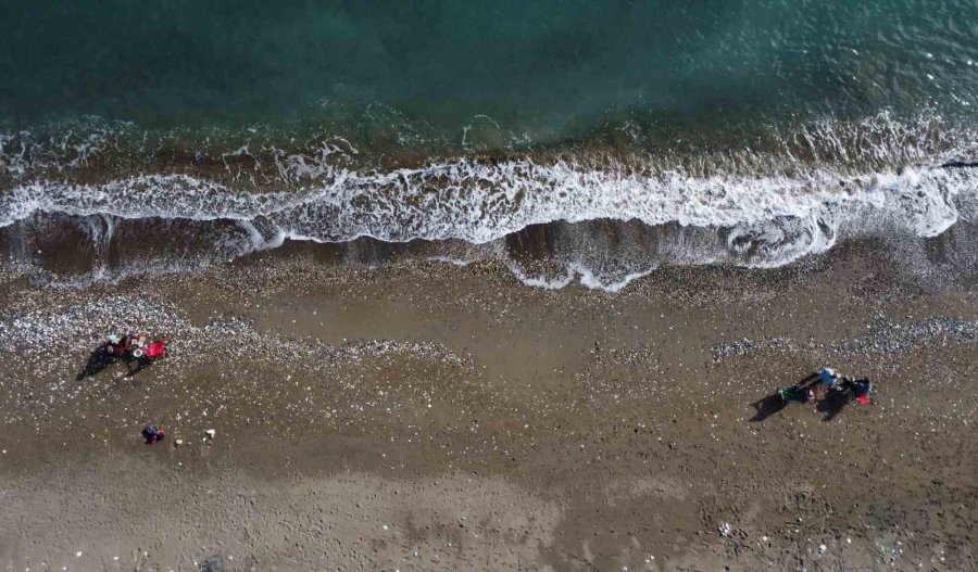 Mersin’de Deniz Ve Kumsal Satışa Çıkarıldı