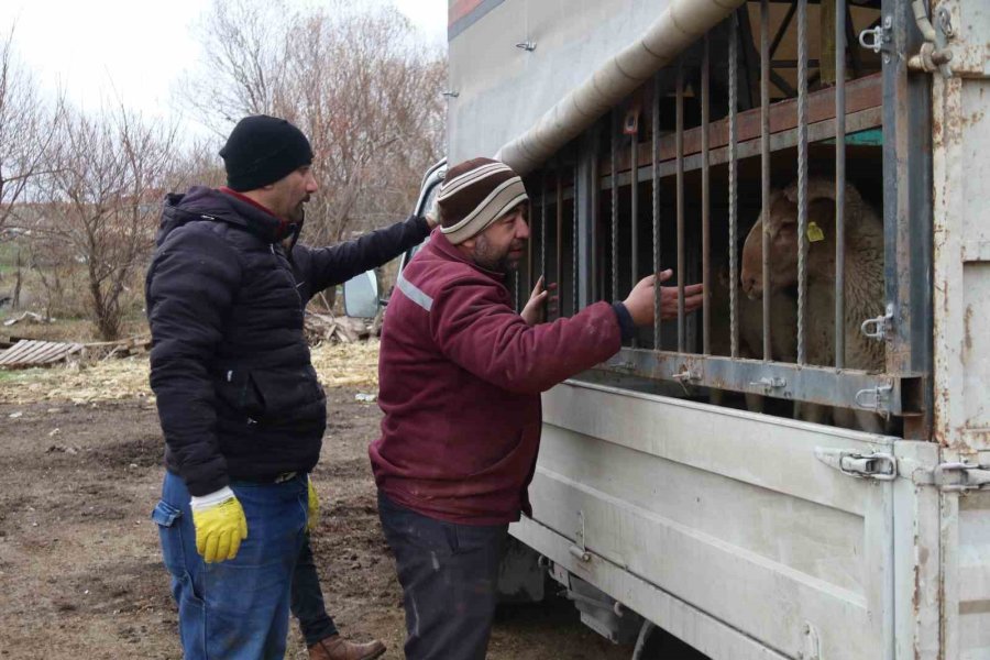 Dedesinden Babasına, Ondan Da Kendine Miras Kalan Mesleği 15 Yıldır Devam Ettiriyor