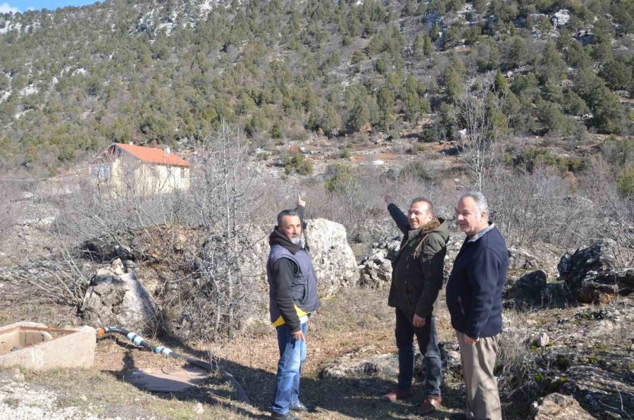 Antalya’nın Ürkek Misafirleri Yaban Keçileri Mahalleye İndi