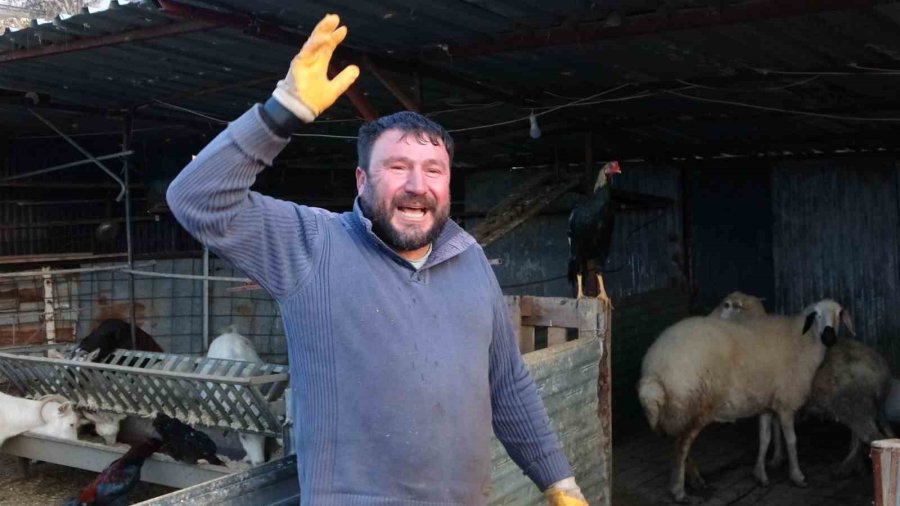 Tavuğunu Tilki Kapan Zavadanak Bekir’den Tilkiye Gülümseten Sitem