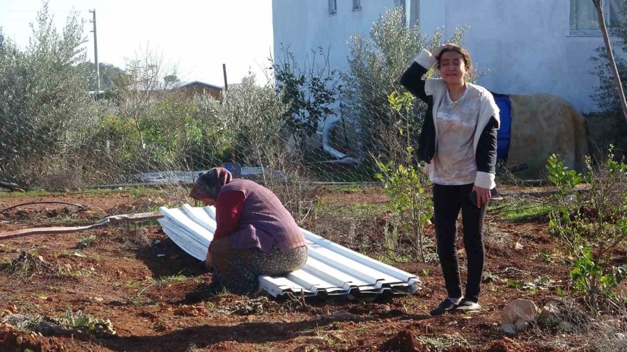 Antalya’da Yıkım Gerginliği Devam Etti, Evi Yıkılan Kadın Gözyaşlarına Boğuldu